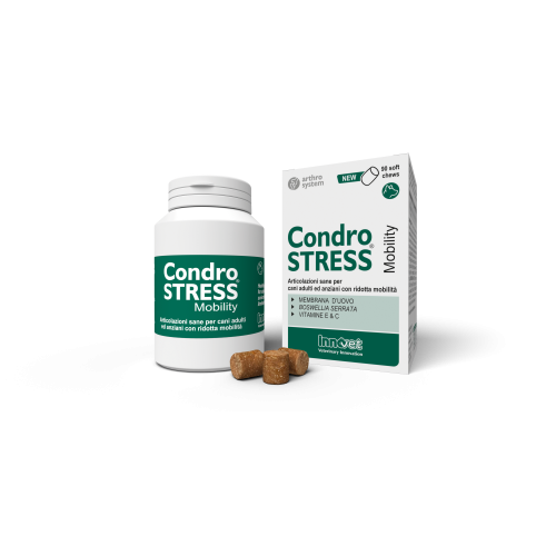 CONDROSTRESS mobility 90 chews