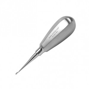 LEVA DENTALE 1 MM MANICO...