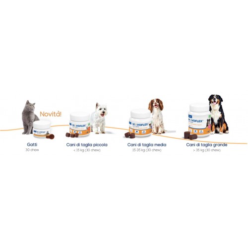 MOVOFLEX gatto soft 30 chews