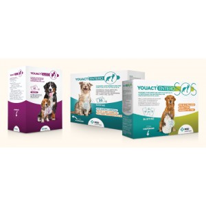 YOUACT GLICO 30 bst cane 2