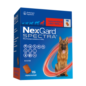 NEXGARD SPECTRA XL 15 cpr...