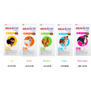 BRAVECTO TRIUNO cane M 6...