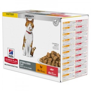 SP GATTO MATURE sterilised...