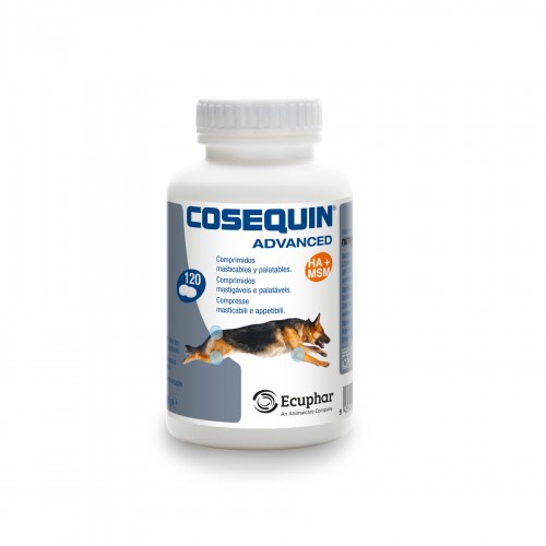 COSEQUIN advanced 120 cpr cane