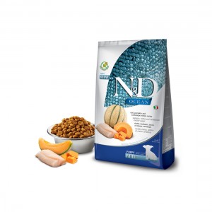 N&D CANE ZUCCA PUPPY...