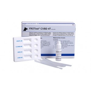 FASTest CVBD 4T 6 test