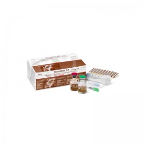 GUARDIAN S.R. INJ. 20 ml cane