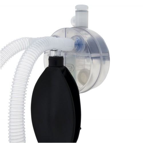 Burtons Semi-Disposable Circle...