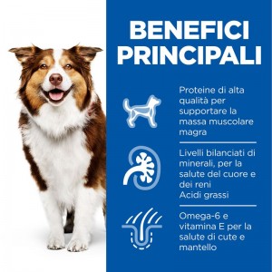 SP CANE MATURE manzo 370 gr...