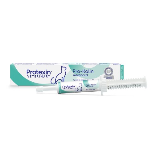 Prokolin Advance gatto 15 ml pasta
