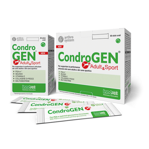 Condrogen adult & sport 30 stick