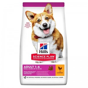SP CANE ADULT...
