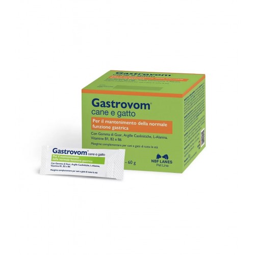 GASTROVOM 30 stick pack 2 gr ( 60 gr)