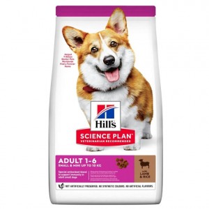 SP CANE ADULT small&miniat....
