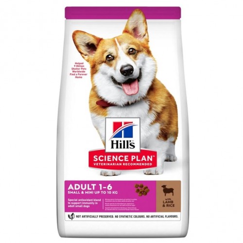 SP CANE ADULT small&miniat....