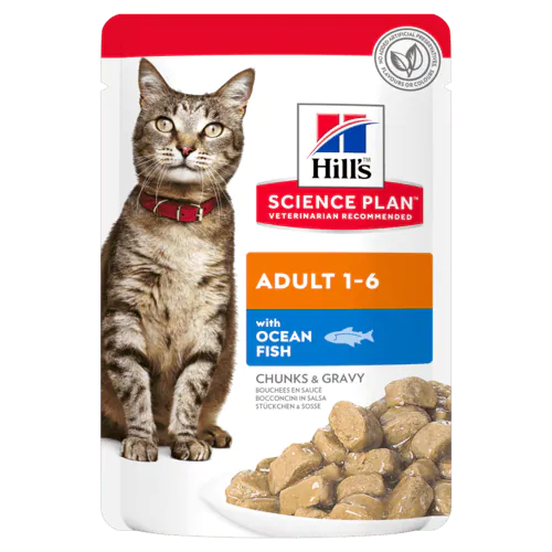 SP GATTO ADULT pesce 12 bst x 85 gr