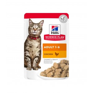 SP GATTO ADULT pollo 12 bst...