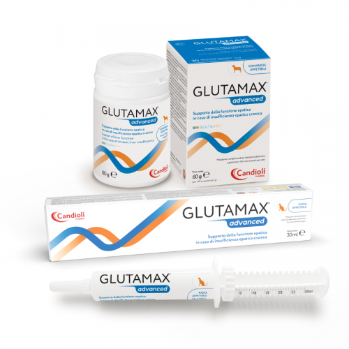 GLUTAMAX advanced 60 ml sospensione