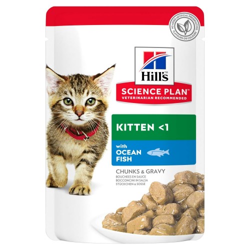 SP GATTO KITTEN pesce 12 bst x 85 gr