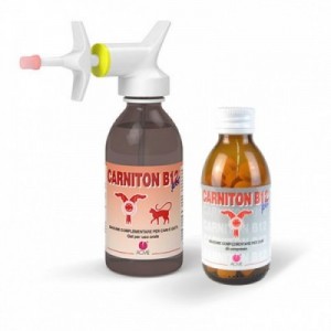 CARNITON B12 GEL 125 ml cane