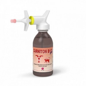CARNITON B12 GEL 125 ml cane 2