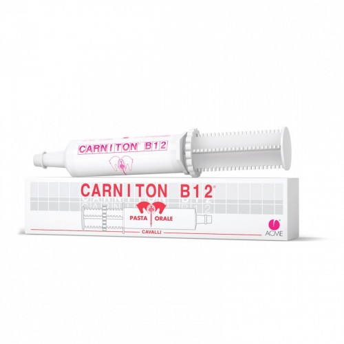 CARNITON B12 100 gr siringa