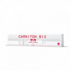 CARNITON B12 100 gr siringa 2