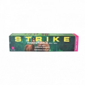 STRIKE PASTA 1 siringa 35 gr 2