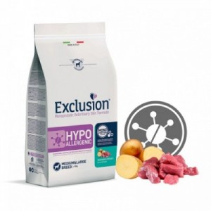 HYVM11 CANE HYPO... 2