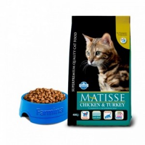 MATISSE GATTO...