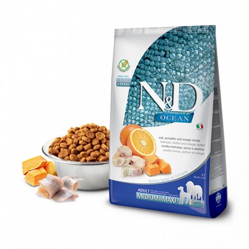 N&D CANE OCEAN ZUCCA...