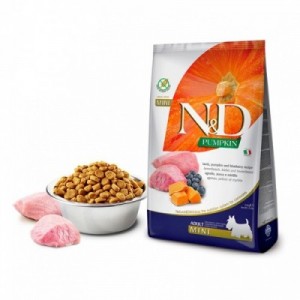 N&D CANE ZUCCA...