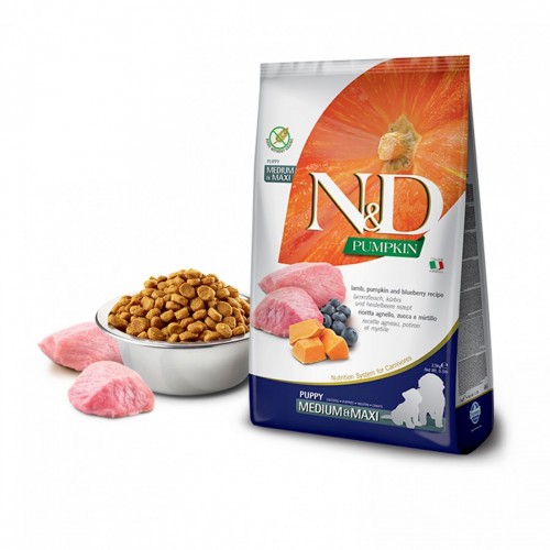 N&D CANE ZUCCA PUPPY...