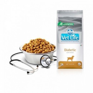 VET LIFE CANE DIABETIC 2 kg 2