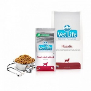 VET LIFE CANE HEPATIC 2 kg