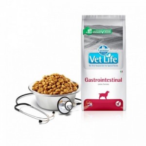 VET LIFE CANE HEPATIC 2 kg 2