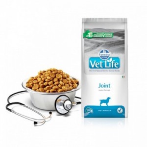 VET LIFE CANE JOINT 12 kg