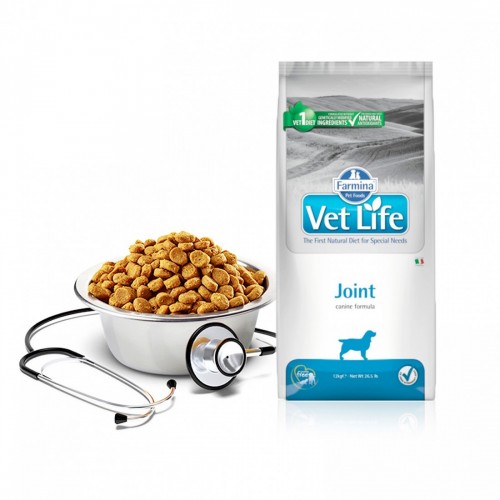 VET LIFE CANE JOINT 12 kg