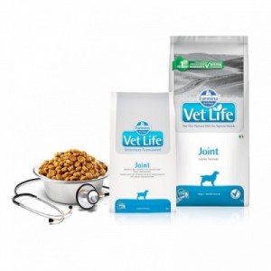 VET LIFE CANE JOINT 2 kg