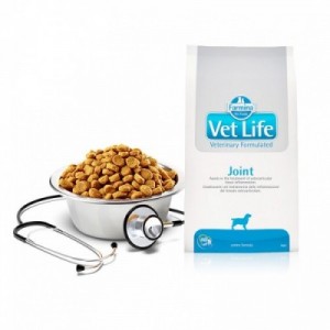 VET LIFE CANE JOINT 2 kg 2