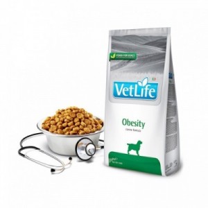 VET LIFE CANE OBESITY 2 kg 2