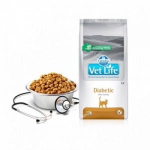VET LIFE GATTO DIABETIC 2 kg