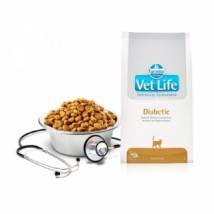 VET LIFE GATTO DIABETIC 400 gr 2