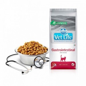 VET LIFE GATTO...
