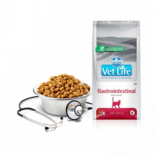 VET LIFE GATTO GASTRO-INTESTINAL 5 kg