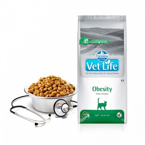 VET LIFE GATTO OBESITY 2 kg