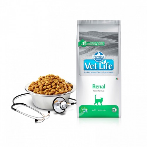 VET LIFE GATTO RENAL 2 kg