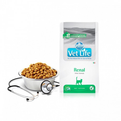 VET LIFE GATTO RENAL 400 gr