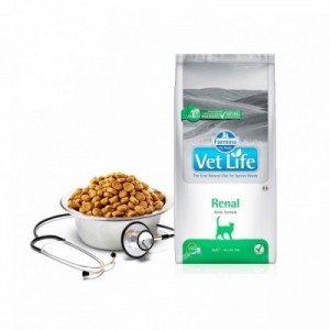 VET LIFE GATTO RENAL 5 kg