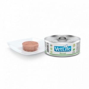VET LIFE GATTO RENAL 12 pz... 2